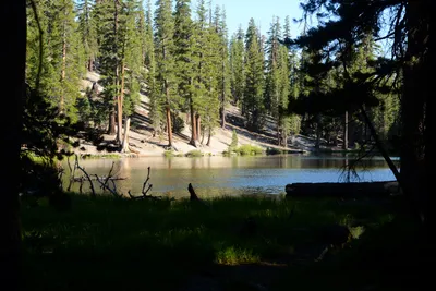 DSC_9948 (Large).JPG